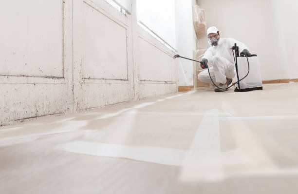 24/7 Emergency Basement Mold Remediation experts in Miami Beach, FL